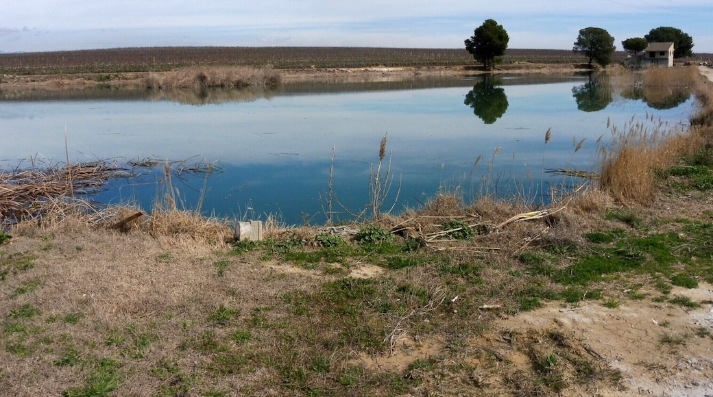 La Bassa Nova (Menàrguens)