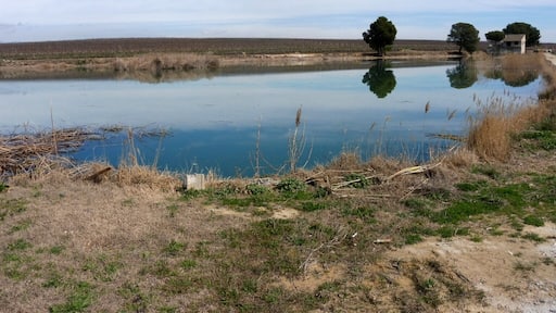 La Bassa Nova (Menàrguens)