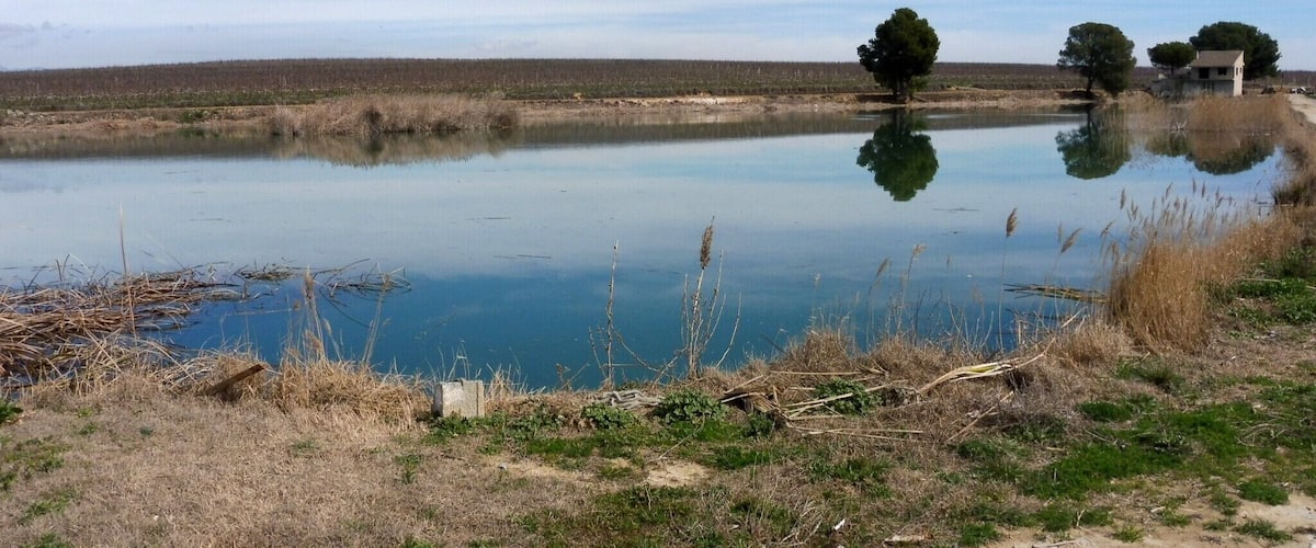 A calm lake with clear reflections, surrounded by dry grass and sparse trees.