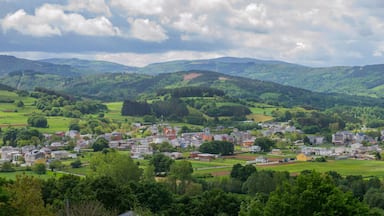 Panorámica da vila de Baralla