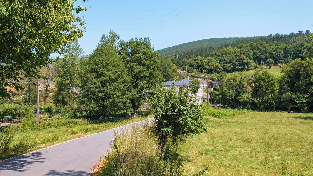 Une route de campagne sinueuse traverse un paysage verdoyant, avec des arbres et une colline en arrière-plan.