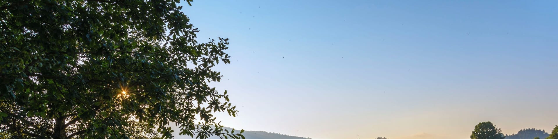 A rural landscape with rolling hills, a vineyard, and a house in the background.