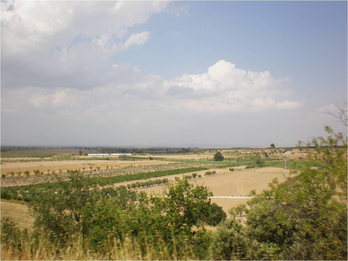 A vast agricultural landscape with rows of crops and sparse trees under a partly cloudy sky.
