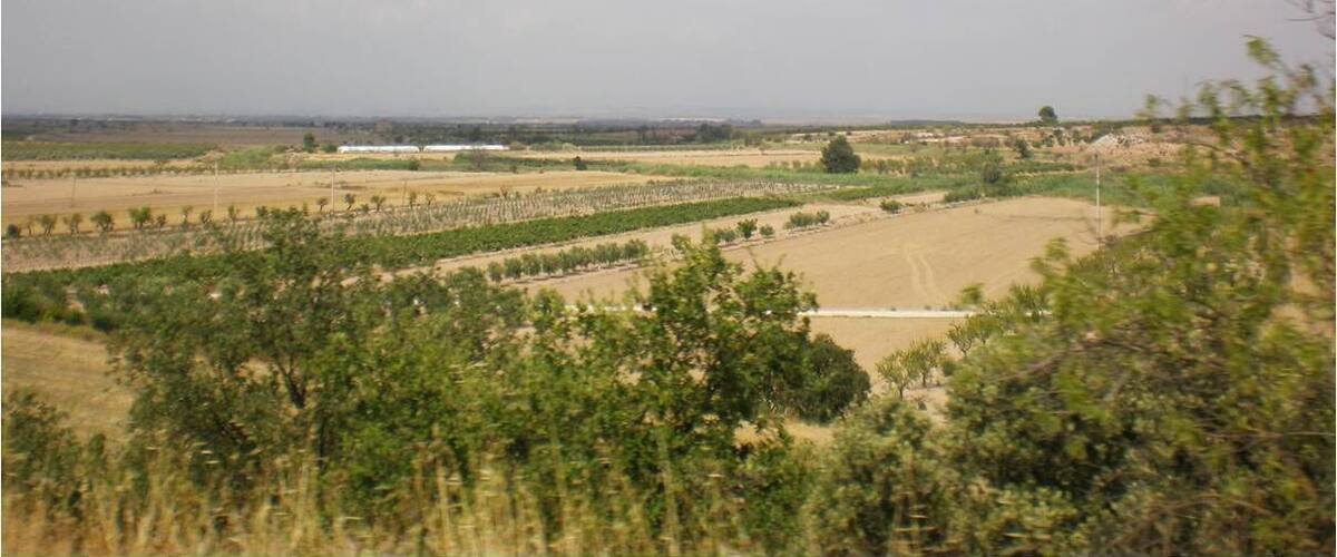 A vast agricultural landscape with rows of crops and sparse trees under a partly cloudy sky.