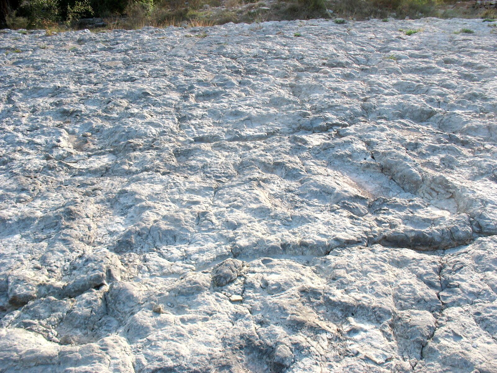 One of the layer surfaces heavily marked by dinosaur tracks at El Castellar dinosaur footprints site, Teruel, Spain.