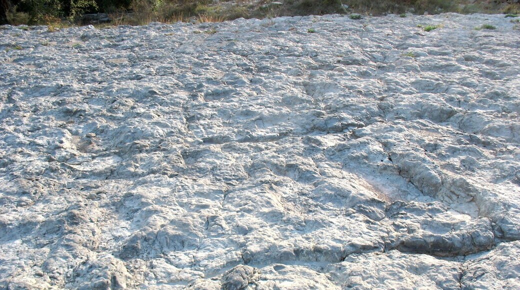 One of the layer surfaces heavily marked by dinosaur tracks at El Castellar dinosaur footprints site, Teruel, Spain.