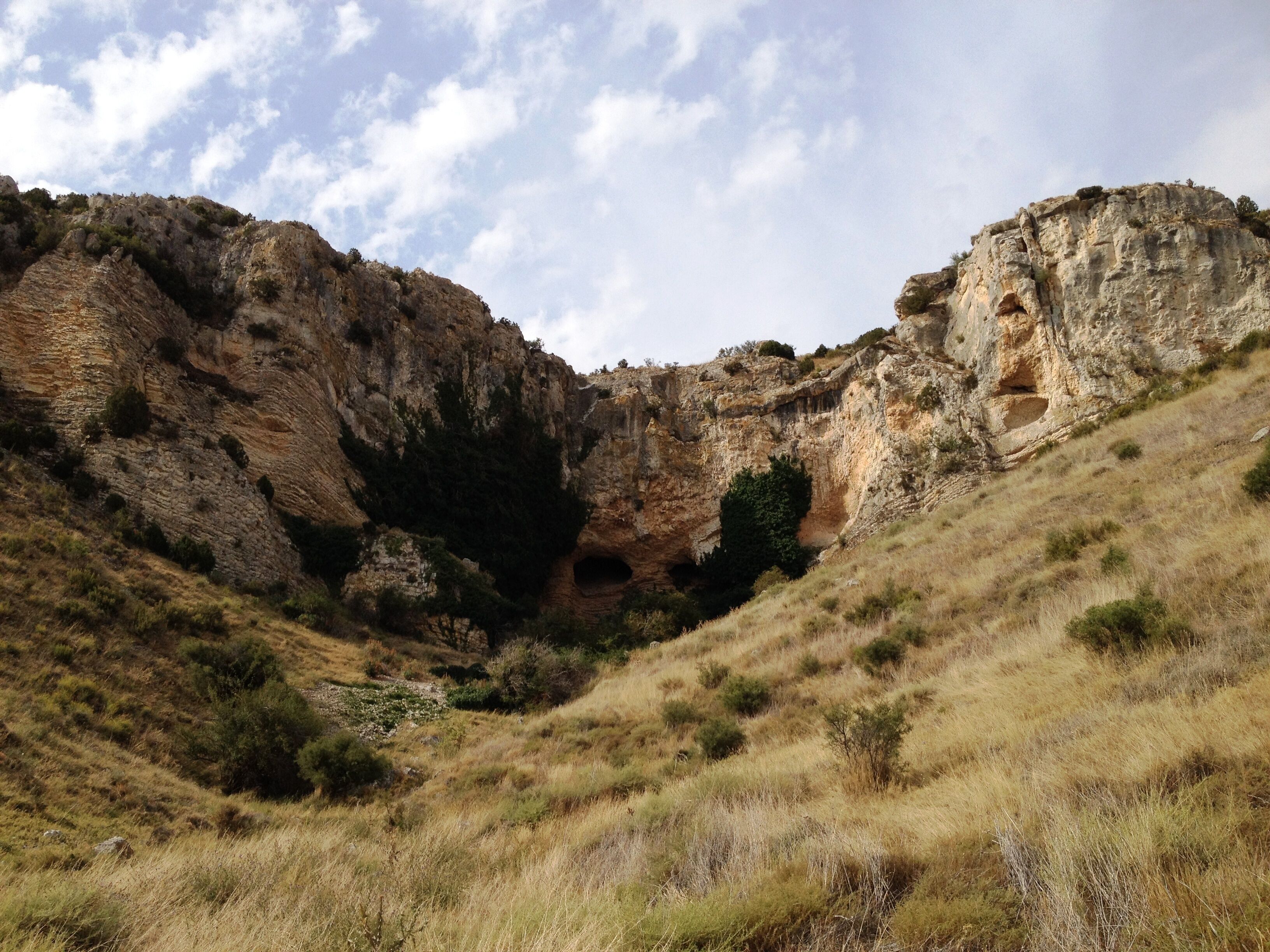 A rocky hillside with a cave entrance and a small tree.