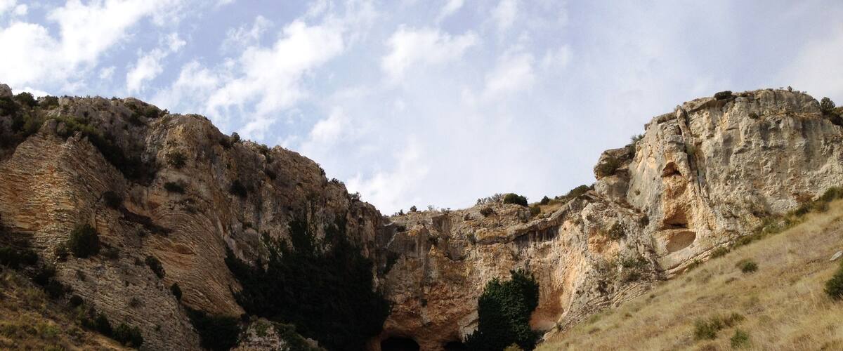 A rocky hillside with a cave entrance and a small tree.