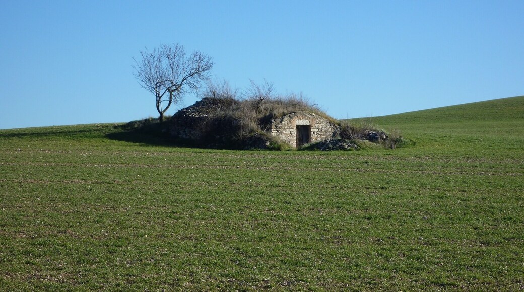Cabana de volta del Cunyé de Viver (Ivorra)