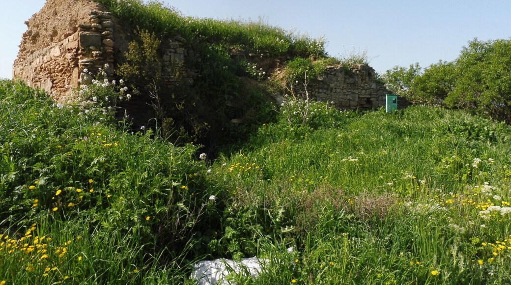 Molรญ del Tona (Preixana) This is a photo of a building indexed in the Catalan heritage register as Bรฉ Cultural d'Interรจs Local (BCIL) under the reference IPA-29844.