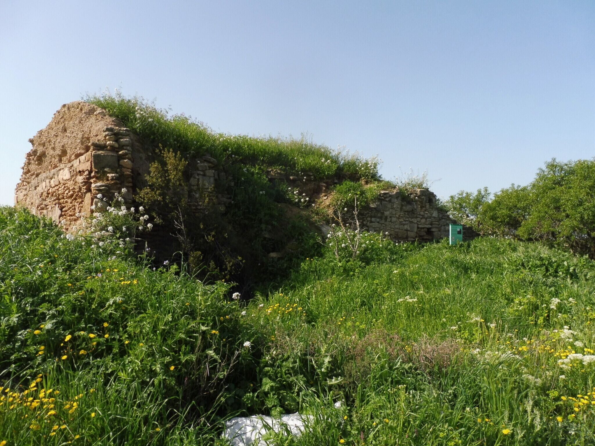 A stone ruin with overgrown vegetation and a small green structure in a grassy field.