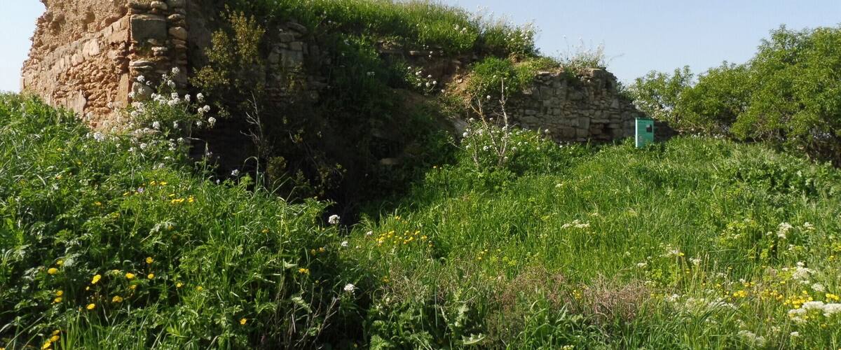 A stone ruin with overgrown vegetation and a small green structure in a grassy field.