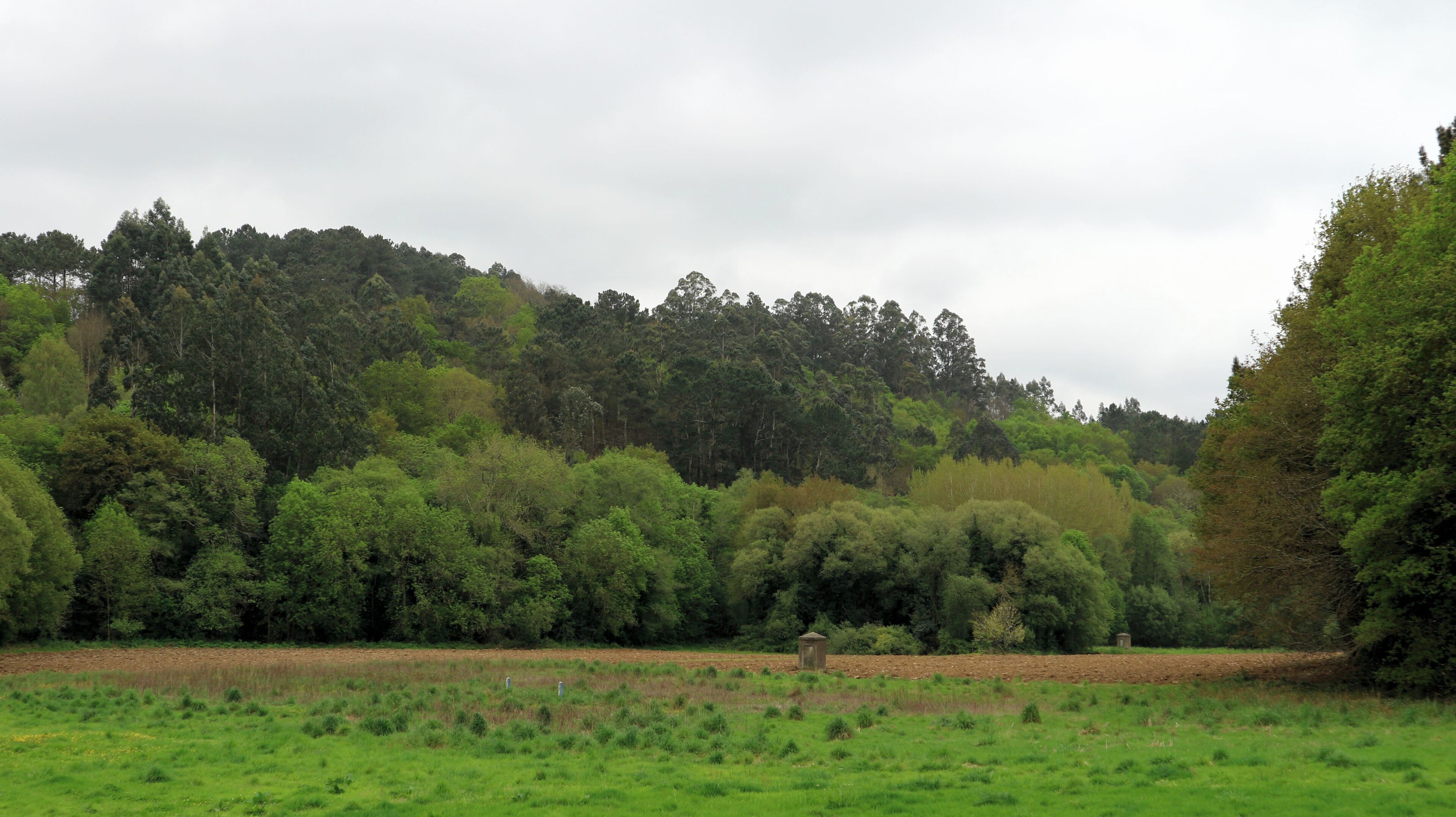 Río Barcés, ao seu paso pola Agra de Damil e Muradelo en Figueiroa e pola Ribeira de Cañás.
