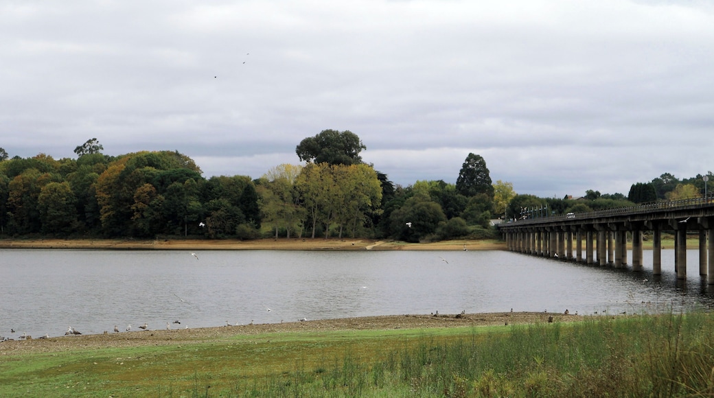 Bribes, Cambre e Orto, Abegondo. Encoro de Abegondo - Cecebre.
