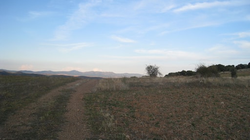 Torrijo de la Cañada, Zaragoza, Spain