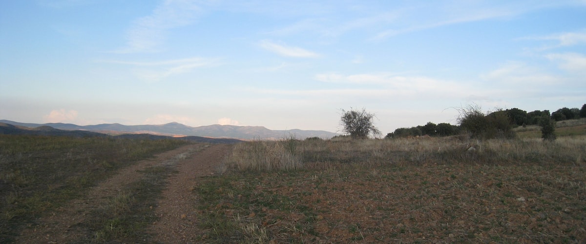 A dirt path in a grassy field with distant mountains under a clear sky.