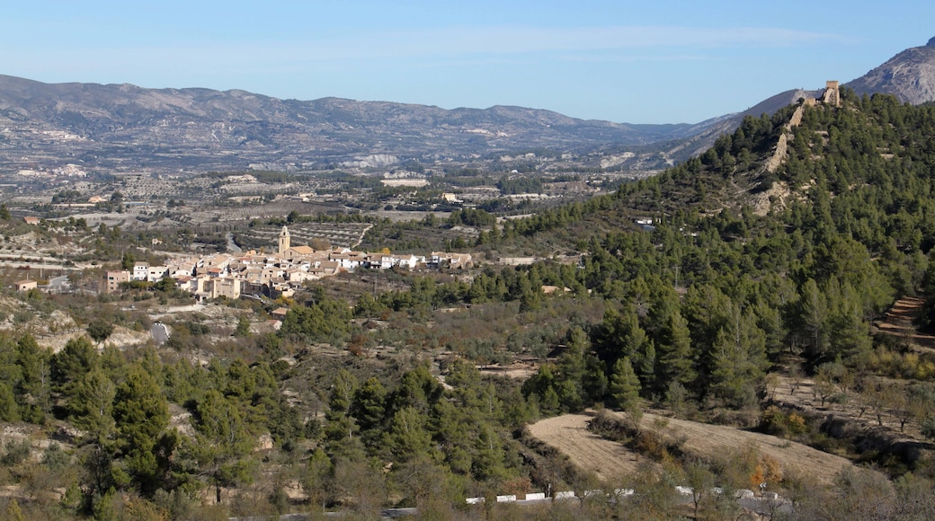 Benifallim - Vista general desde CV-780