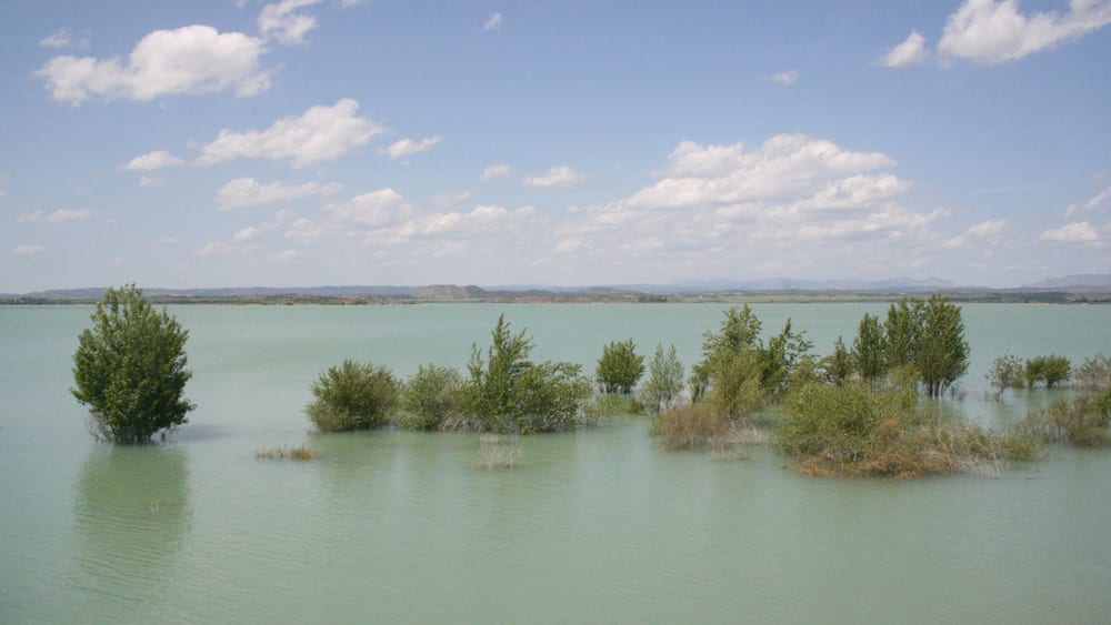A calm lake with scattered trees and distant mountains under a partly cloudy sky.