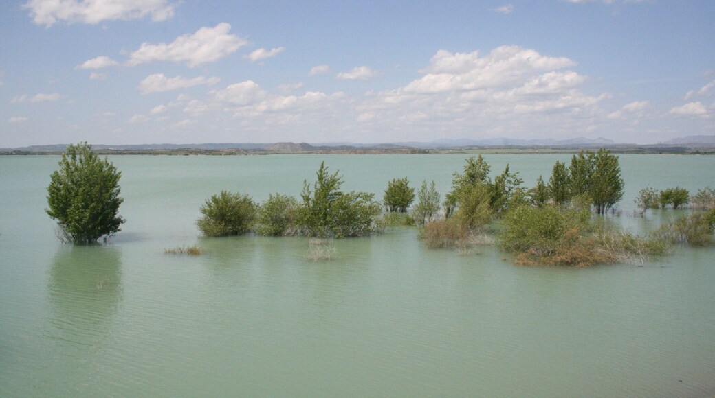 PANTANO DE YESA