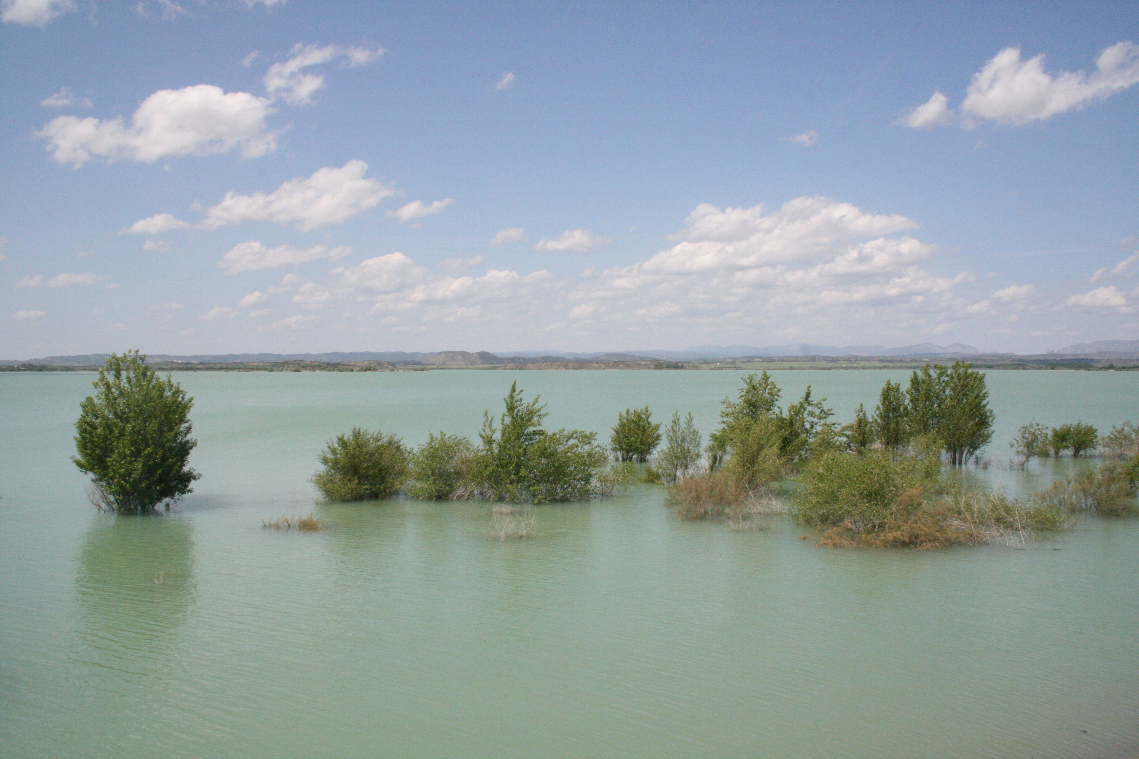 A calm lake with scattered trees and distant mountains under a partly cloudy sky.