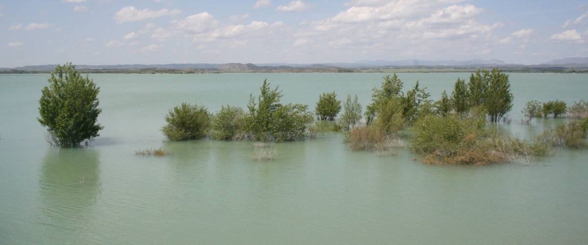 A calm lake with scattered trees and distant mountains under a partly cloudy sky.