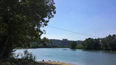 Un río con una orilla arenosa, un árbol y un edificio distante en una colina.