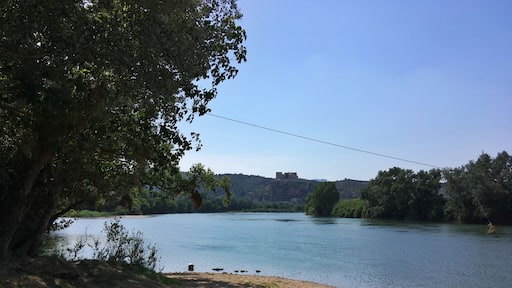 El pas de l'Ase és un congost del riu Ebre