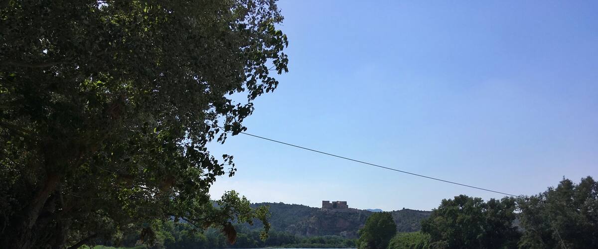 A river with a sandy bank, a tree, and a distant building on a hill.