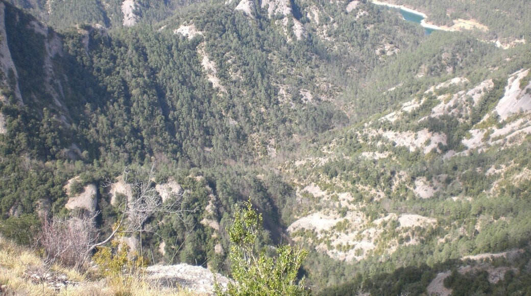 Canals de Sant Miquel des del Serrat de Migdia, Serra de Picancel (abril 2012)