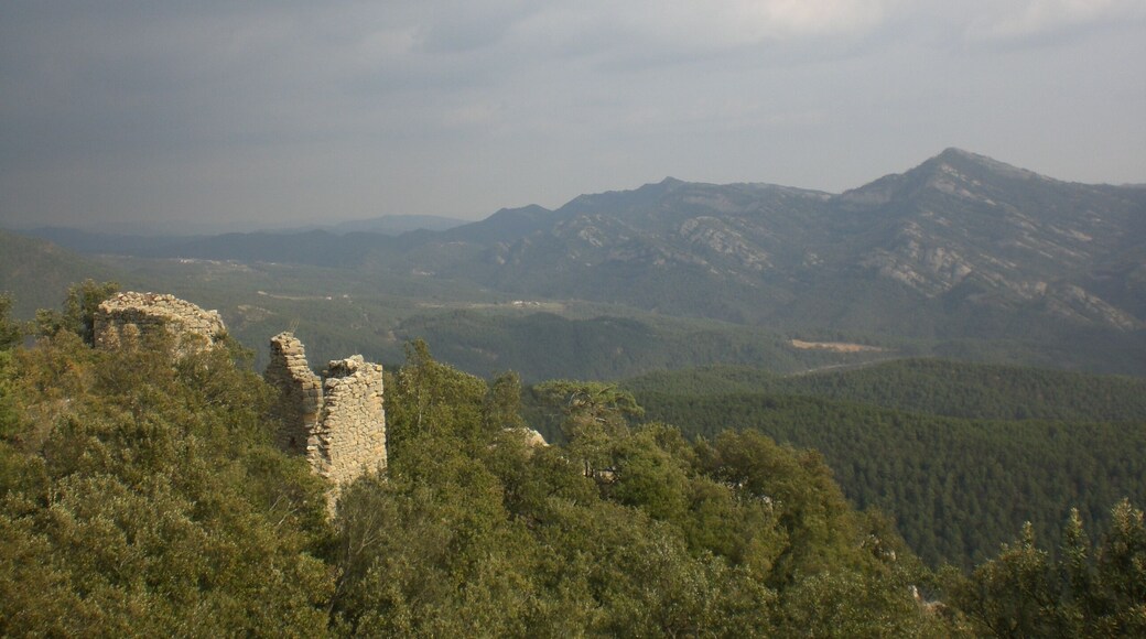 Castell de Roset i Salga Aguda, Vilada (abril 2012)