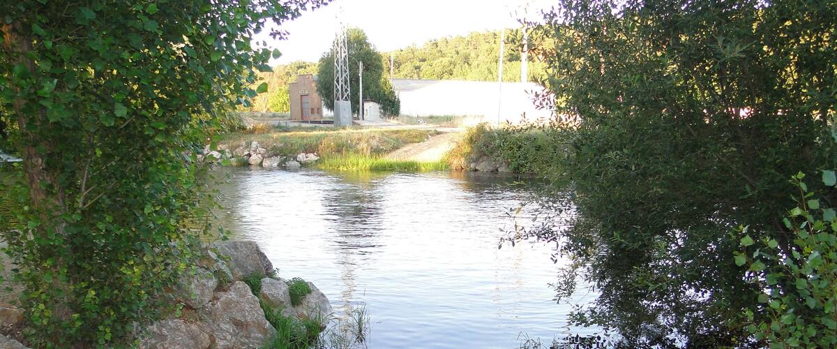 A calm river with rocks and greenery on the banks.