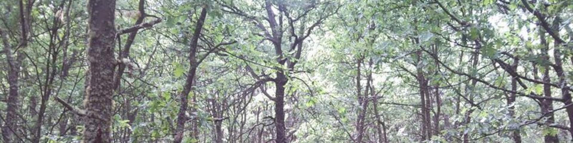 Villagatón, León, Spain