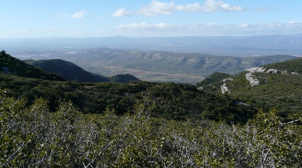This is a a photo of a natural area in Catalonia, Spain, with id: