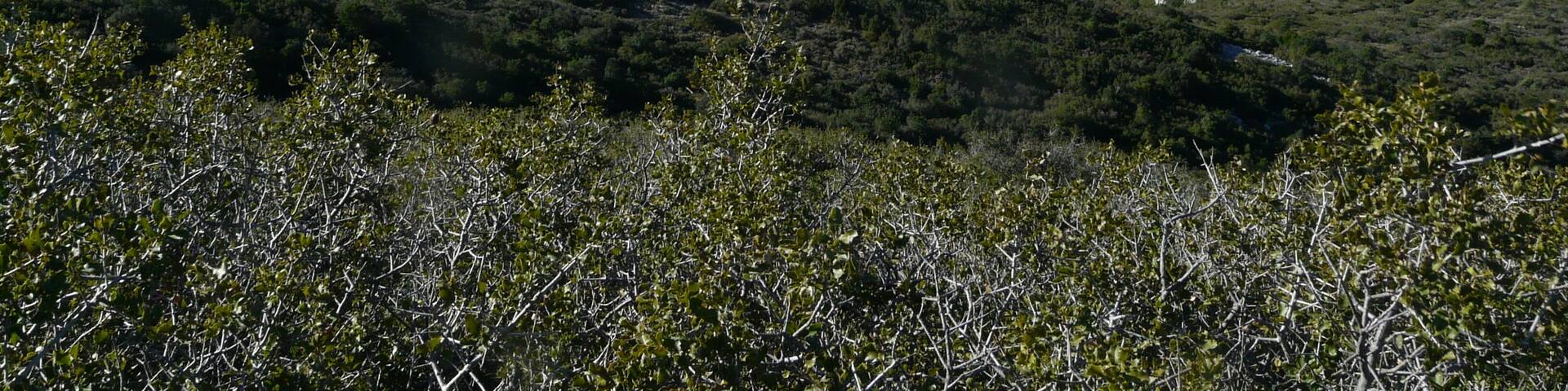 This is a a photo of a natural area in Catalonia, Spain, with id:
