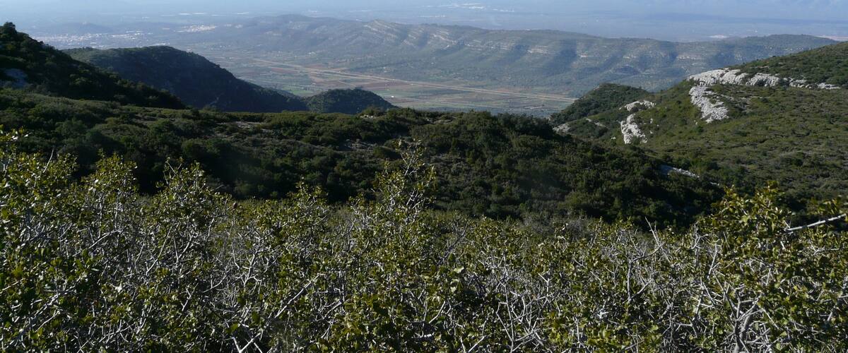 A mountainous landscape with dense vegetation and a valley below.