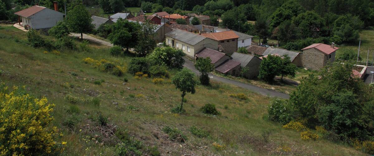 Paladín (Valdesamario León, Spain).
