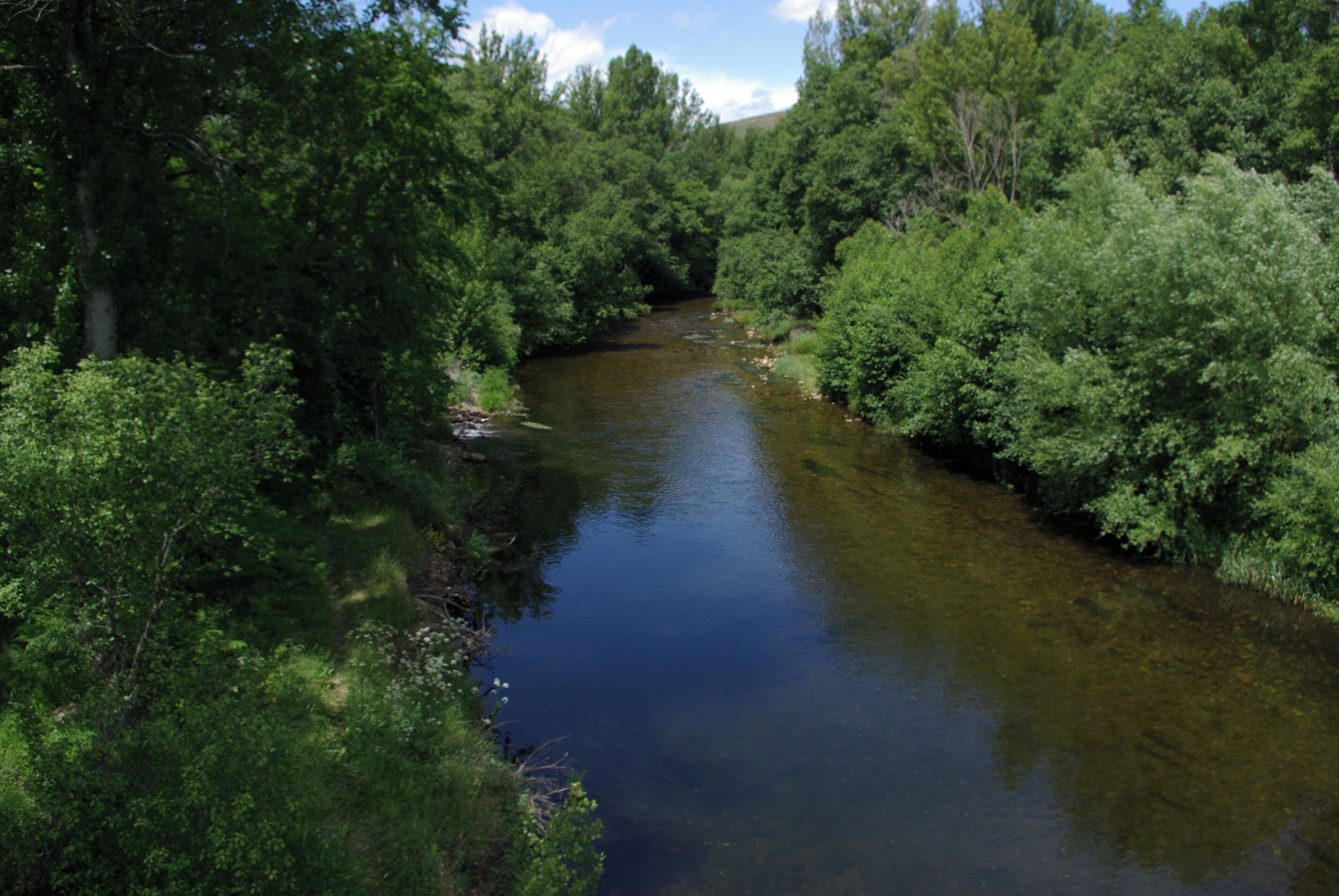 River Omaña, Esla basin, near Paladín (Valdesamario León, Spain).