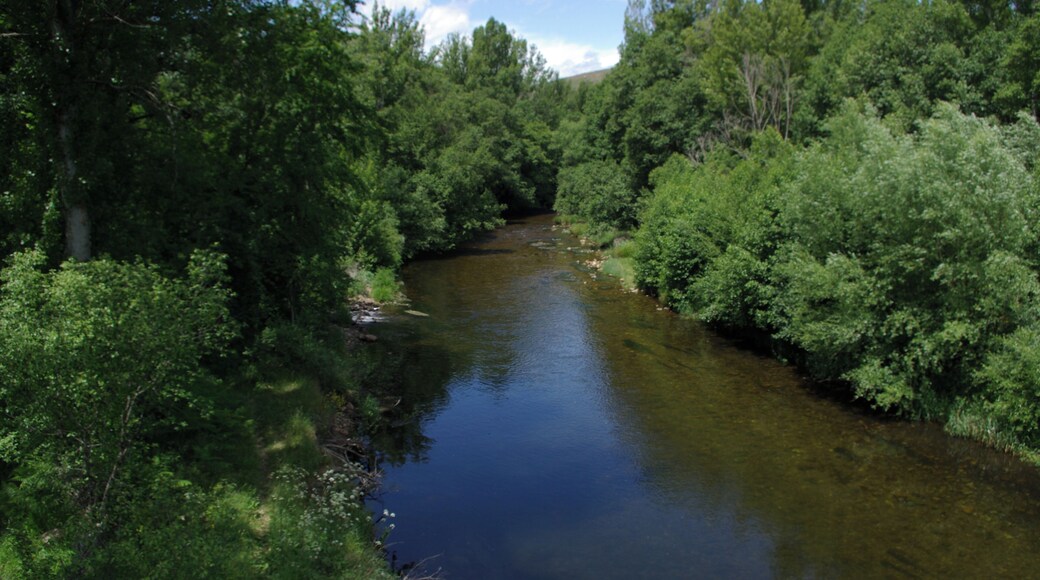 River Omaña, Esla basin, near Paladín (Valdesamario León, Spain).