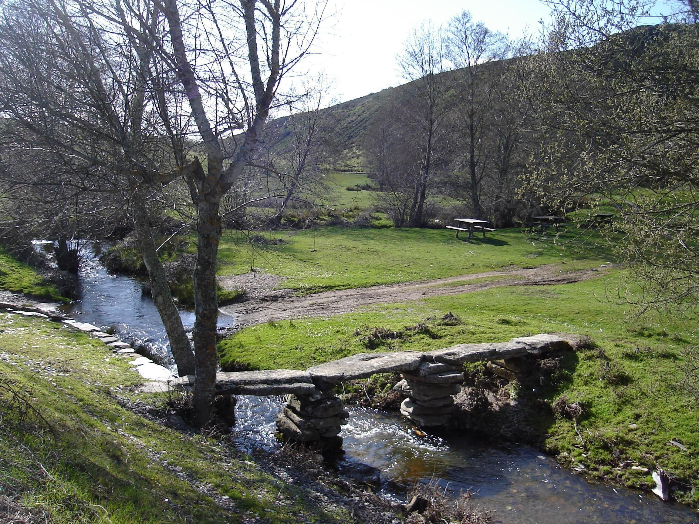 A stone bridge over a stream, surrounded by trees and a picnic table in a grassy area.