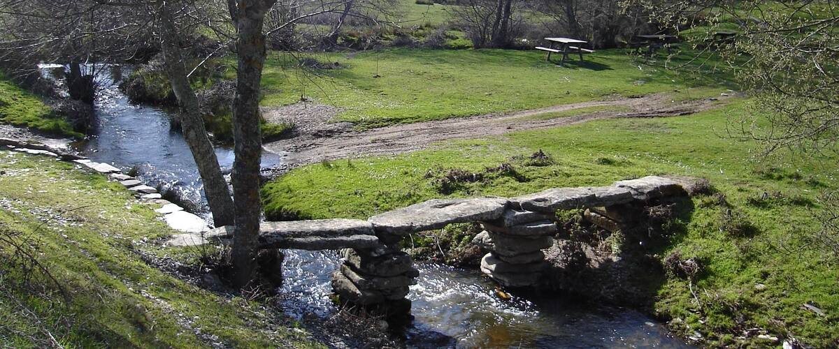 A stone bridge over a stream, surrounded by trees and a picnic table in a grassy area.