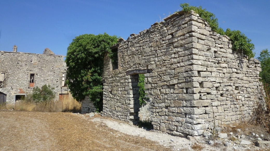 Balsarell de Segarra (Veciana)