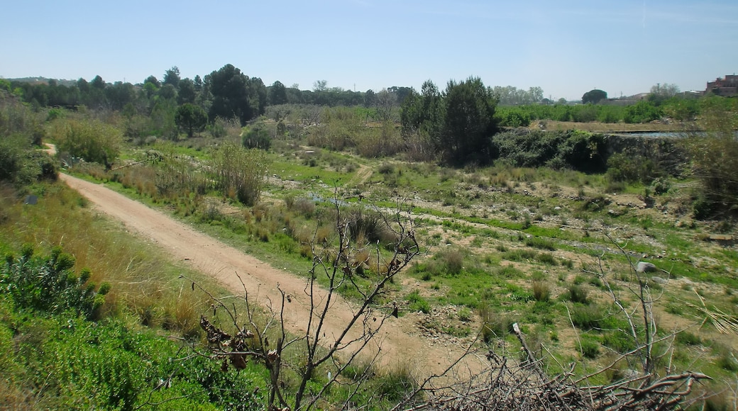 Imatge de la Riera de Maspujols, entre els pobles de Maspujols i l'Aleixar
