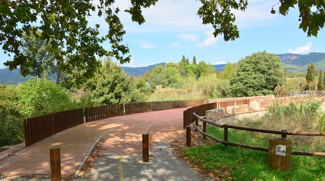 ĐŃĐżĐ°ĐœĐžŃ