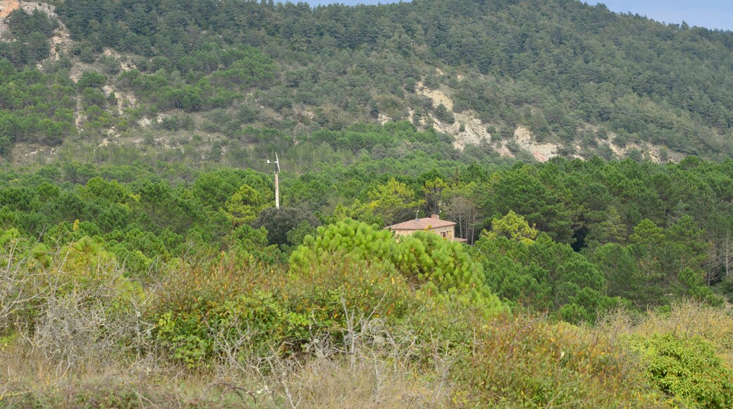 L'Aleixar, Tarragona, Spain
