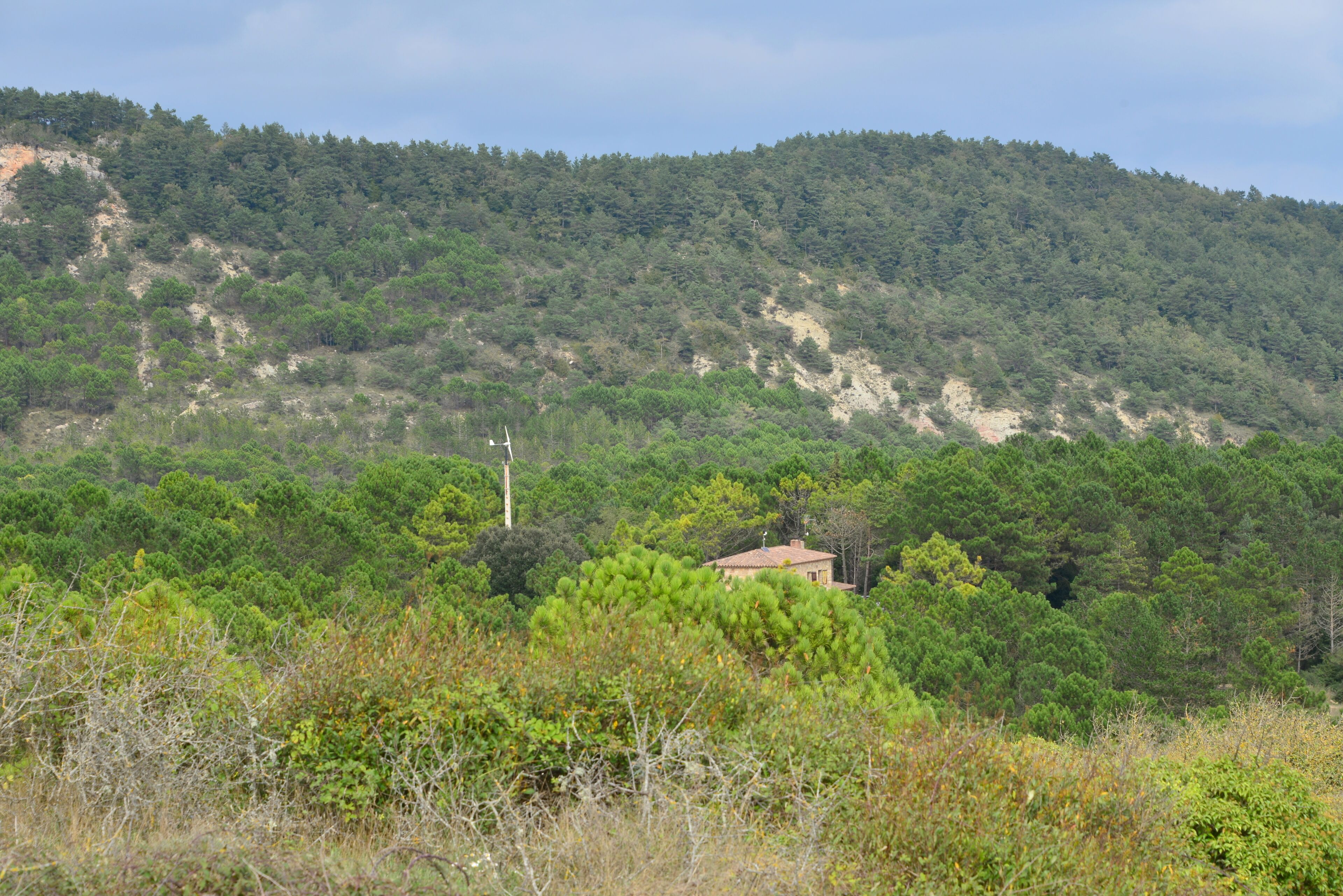 A rural landscape with a house nestled among dense trees on a hillside.