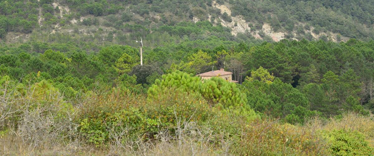 A rural landscape with a house nestled among dense trees on a hillside.