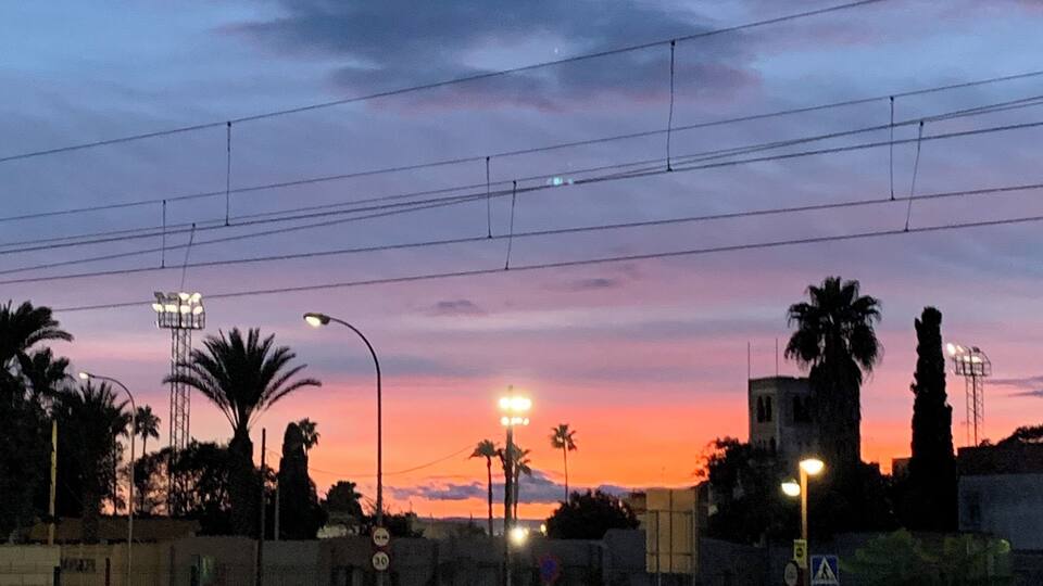 A sunset over a cityscape with palm trees, streetlights, and power lines.
