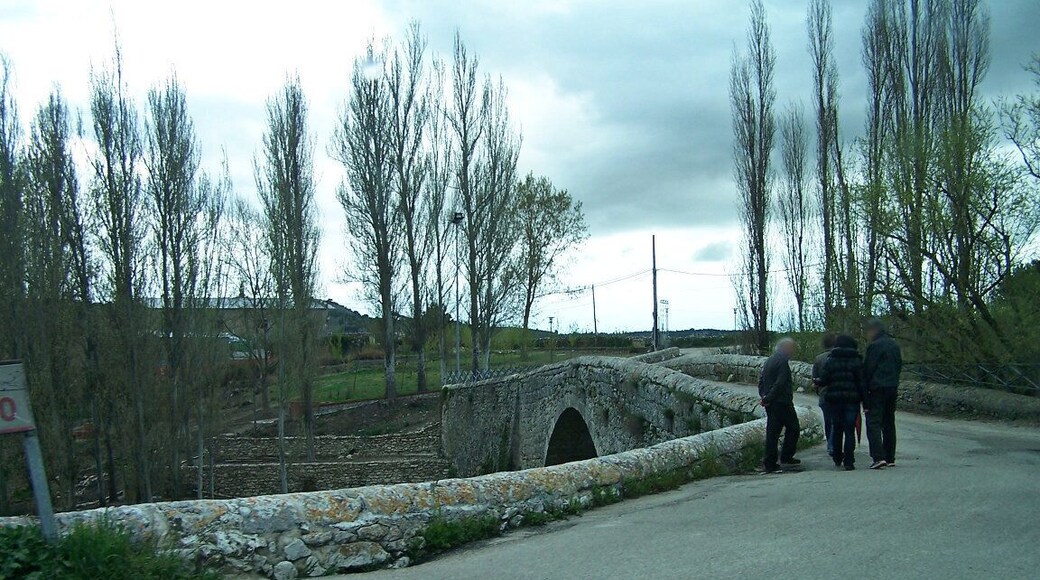 Puente de Megeces (VP-1103)