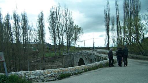 Puente de Megeces (VP-1103)