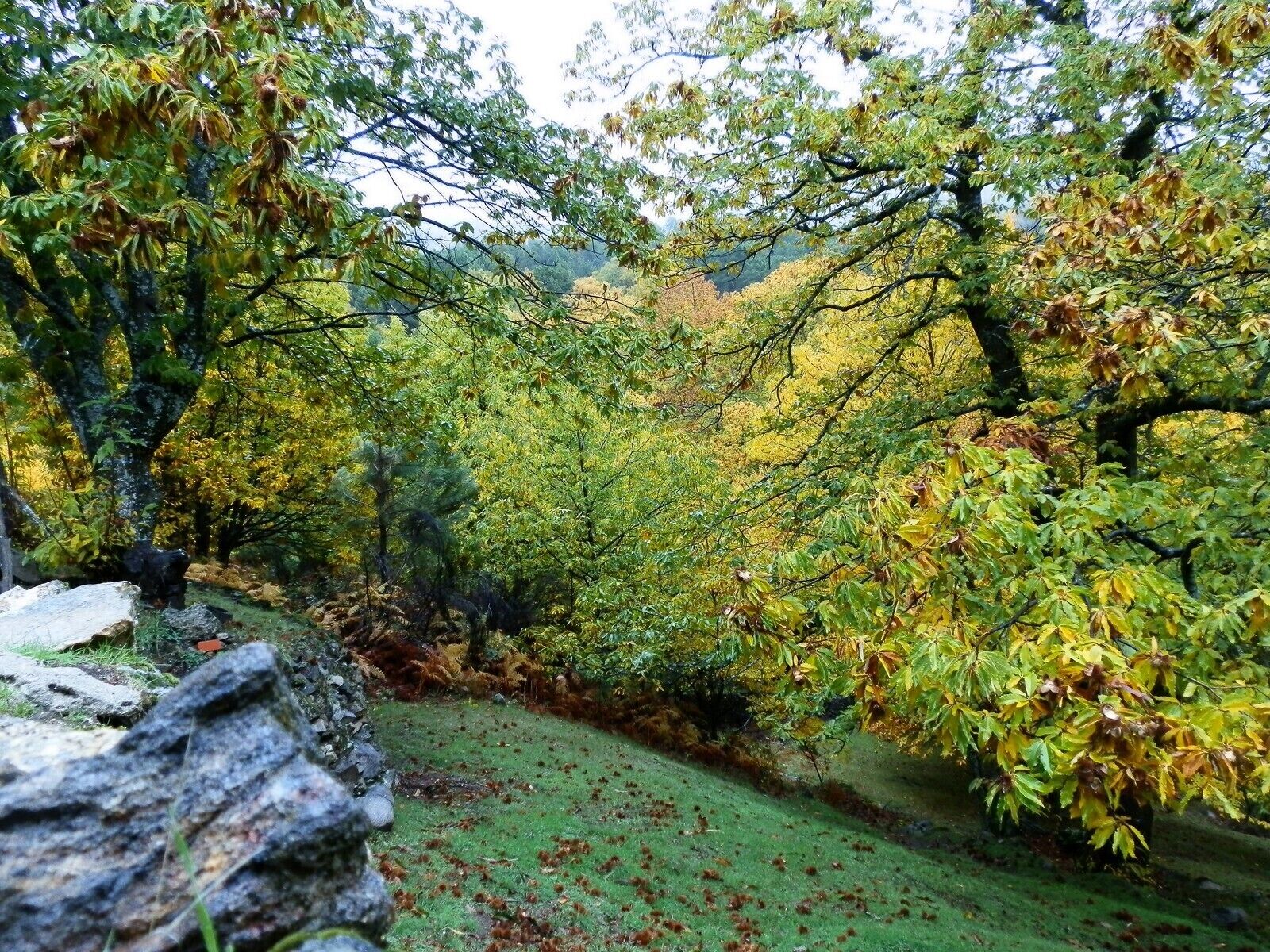 Casillas, Ávila, Spain